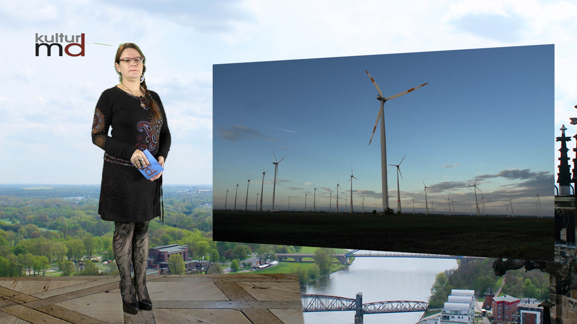Sachsen-Anhalt will Windanlagen in Wäldern ermöglichen