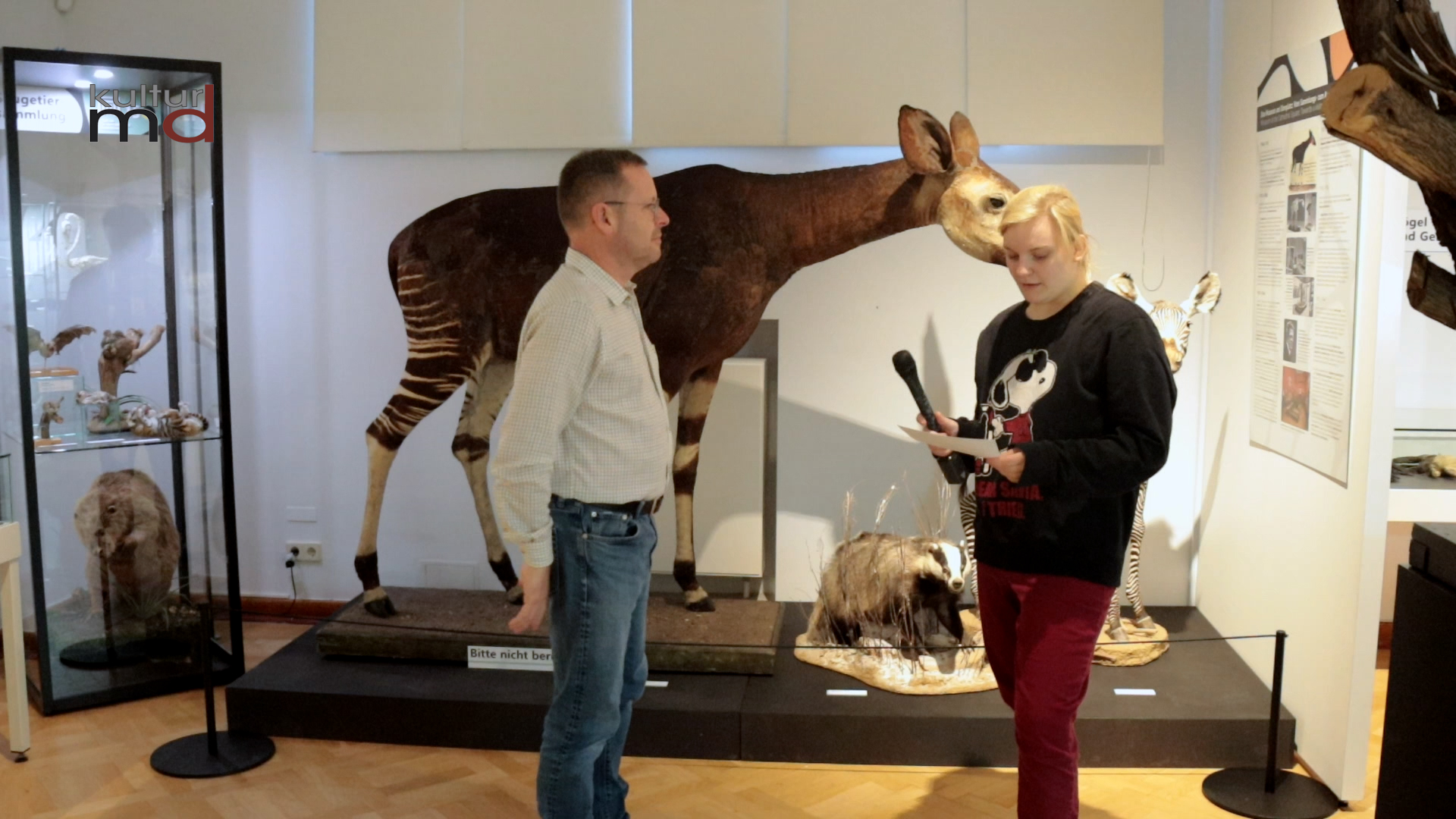 26.11.25: 150 Jahre Museum für Naturkunde