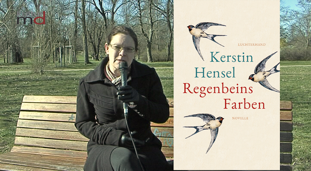 Rezension Kerstin Hensel - Regenbeins Farben