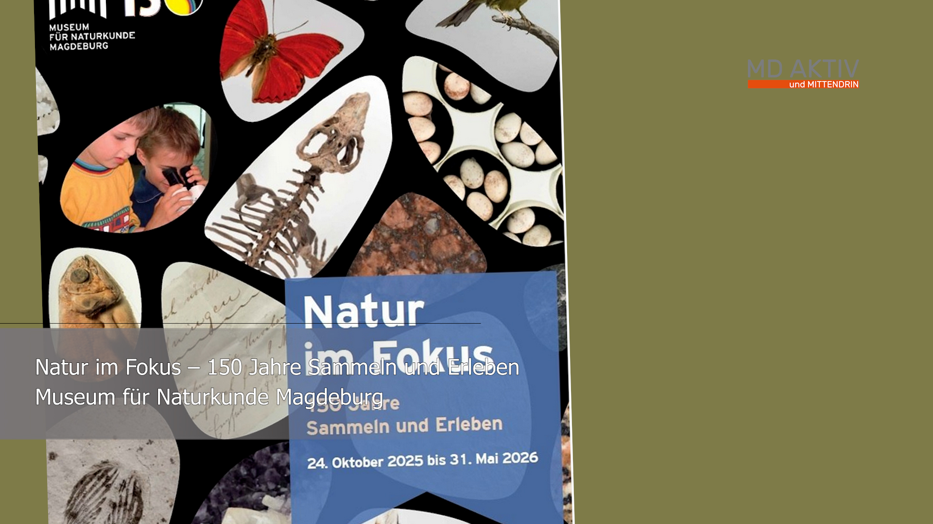 28.10.25:Natur im Fokus – 150 Jahre Sammeln und Erleben