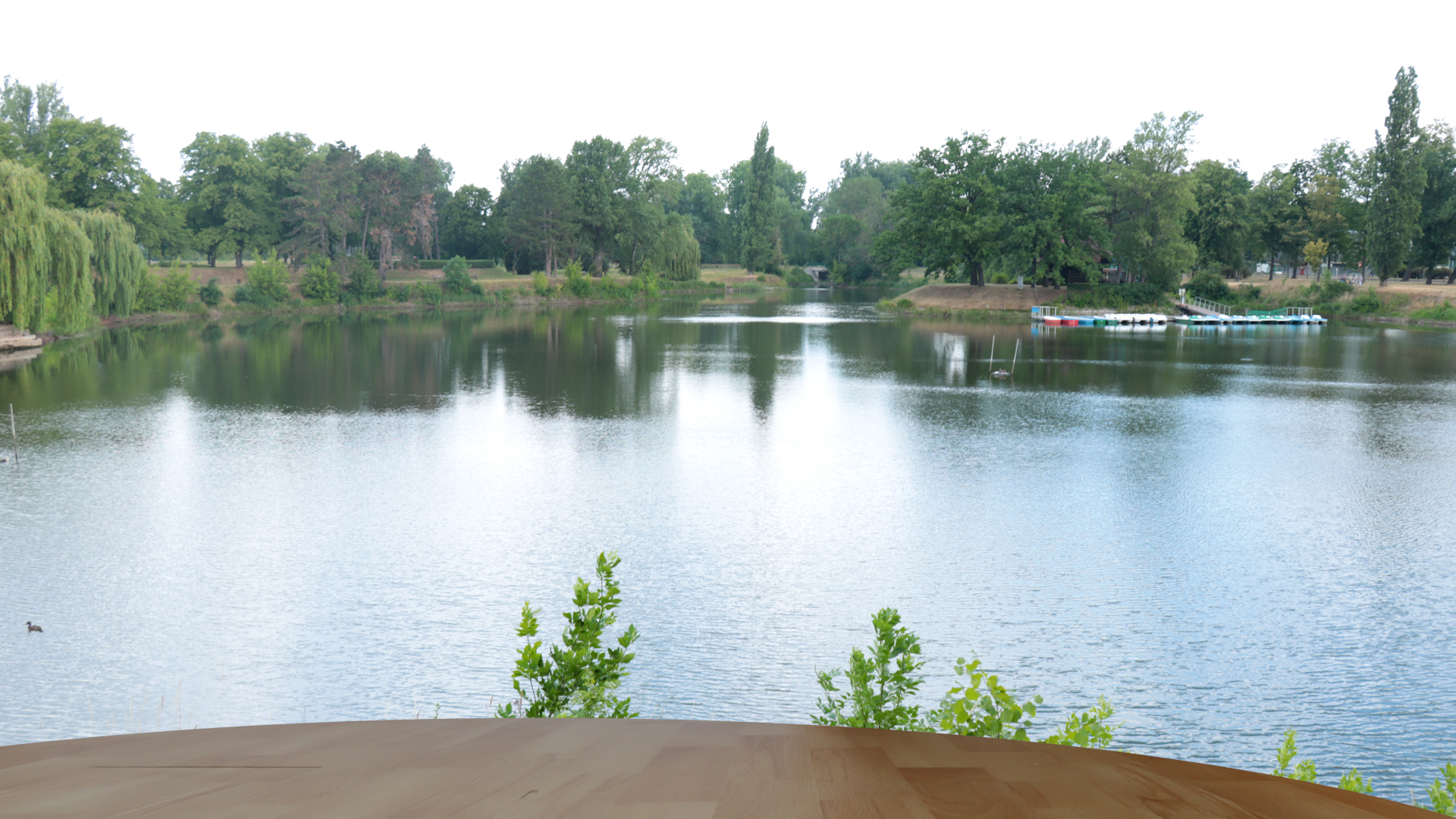 13.03.26: Zukunftstag 2026 beim Land Sachsen Anhalt