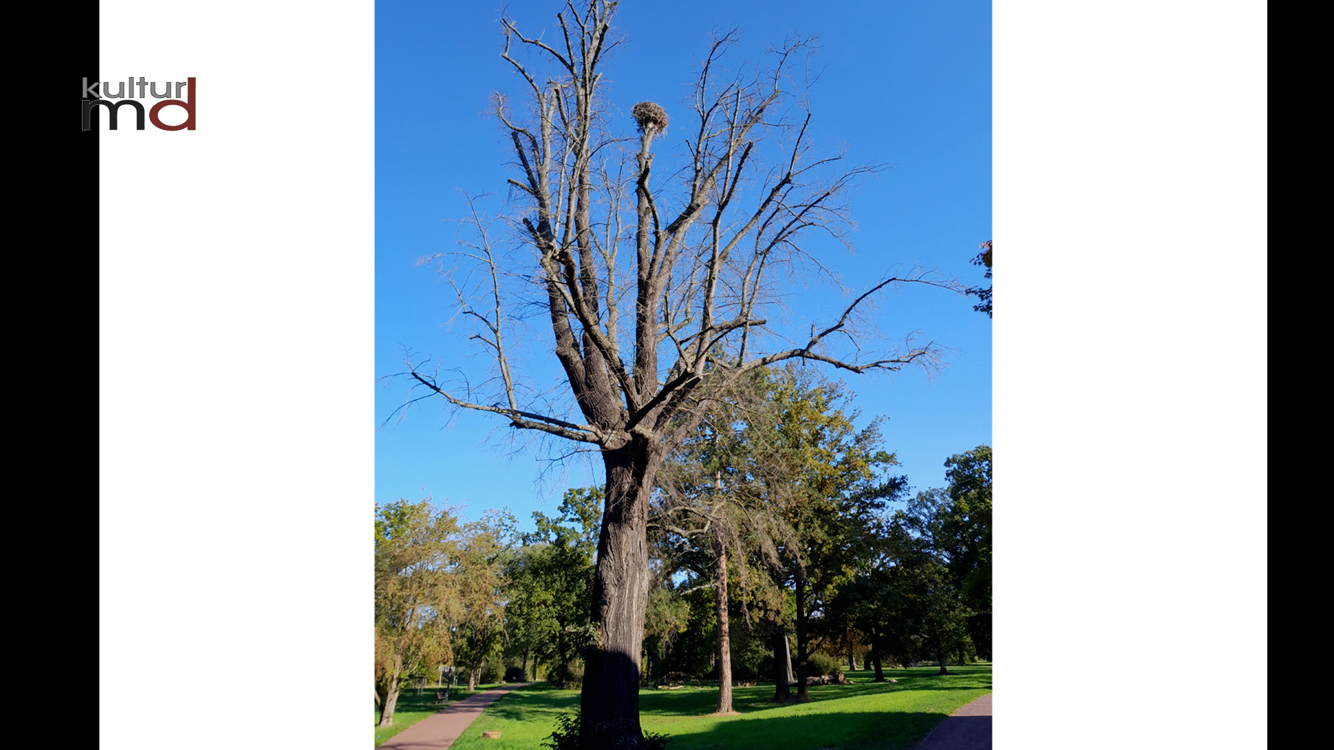 21.04.26: KMD aktuelle 15 Nachrichten1